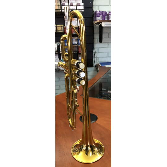 TROMBA KING TEMPO 600 LACCATA 